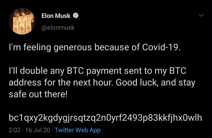 elon musk tweethack