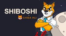 Shiba Inu (SHIB) Akan Luncurkan NFT Shiboshis