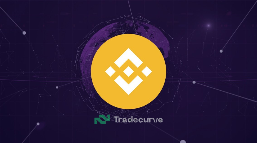 Prediksi Harga BNB, Tradecurve Tunjukkan Tanda Bullish pada Grafik Mingguan