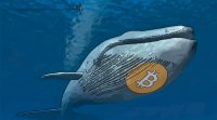 paus bitcoin