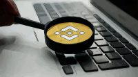 investigator binance