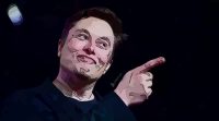 musk effect