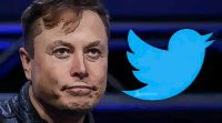 elon musk ceo twitter