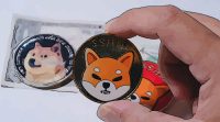 shiba inu stablecoin