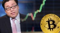 tom lee bitcoin