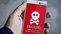 malware raccoon