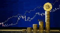 Pasar Bitcoin 2020